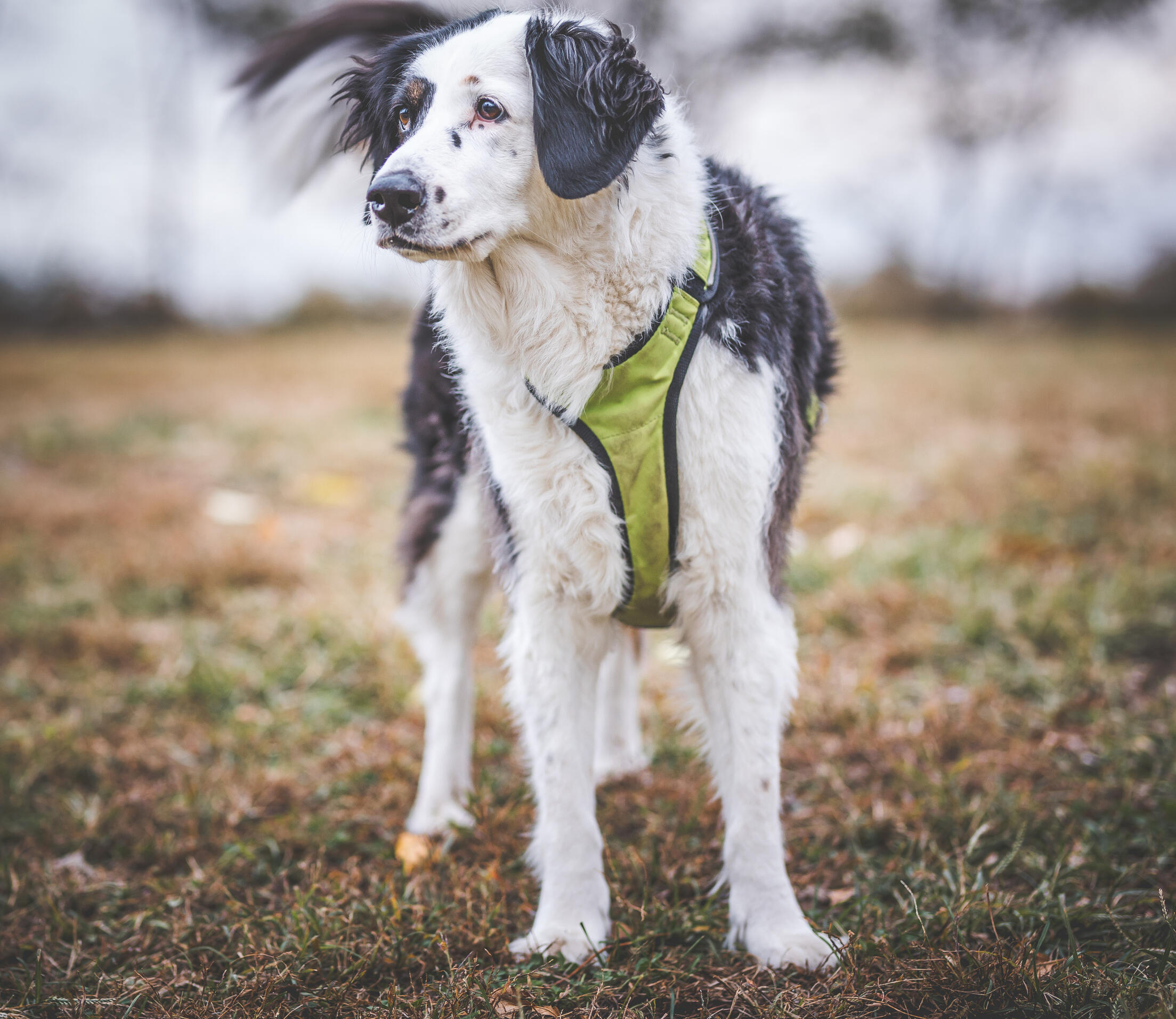 Something is missing here