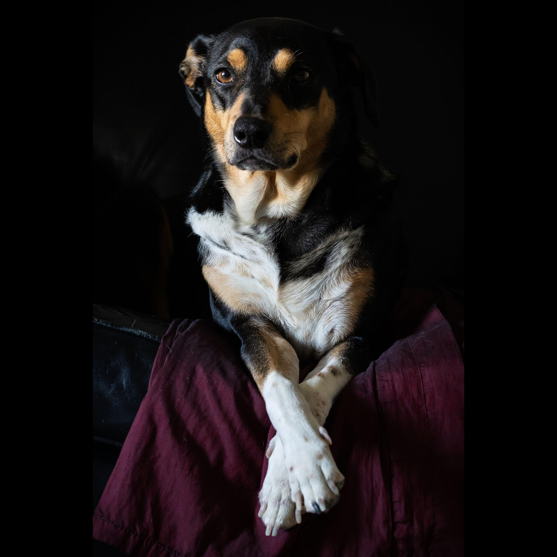 Something is missing here